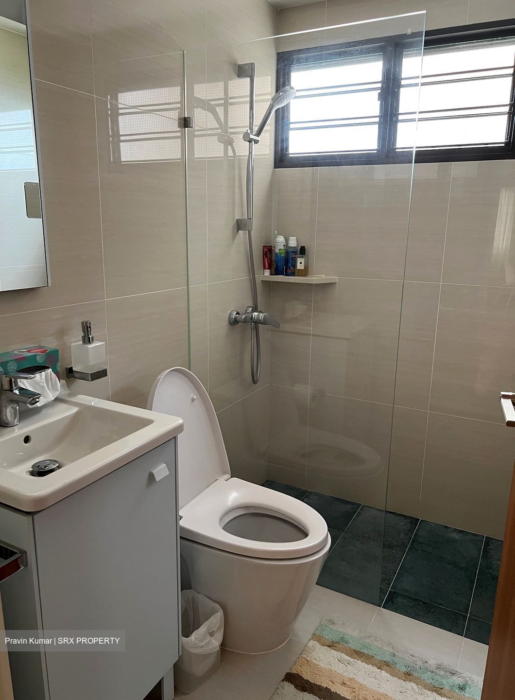 Bayshore Park (D16), Condominium #444833641